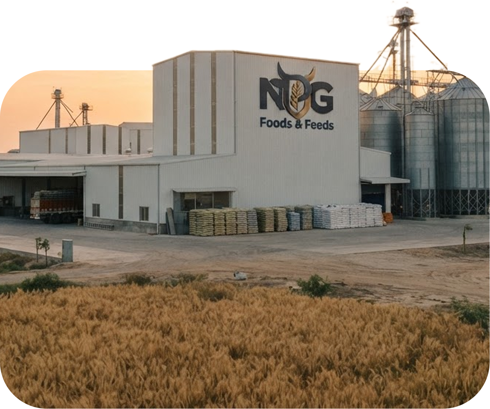 NPG Foods & Feeds