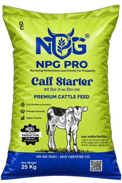 CALF STARTER