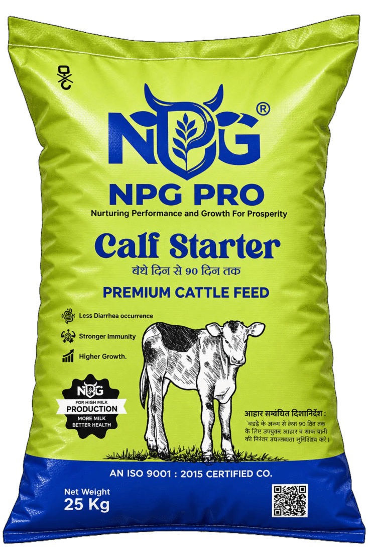 CALF STARTER